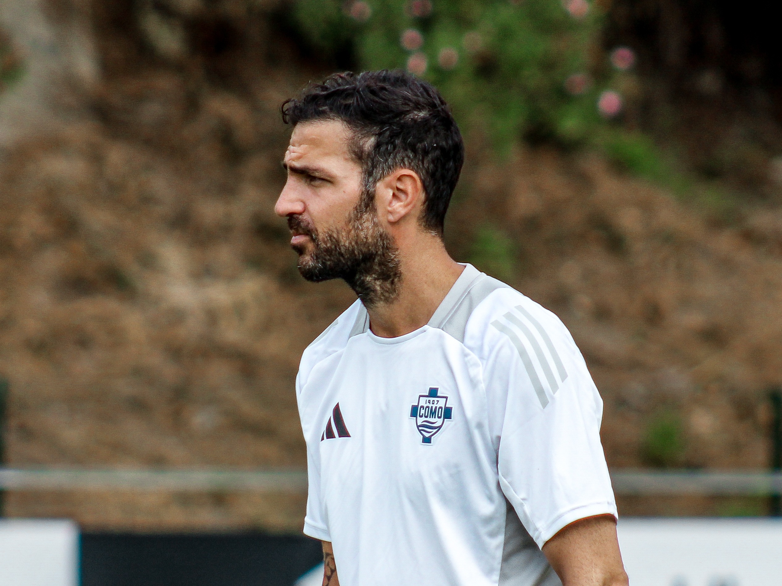 Cesc Fàbregas, entrenador del Como 1907, 2024